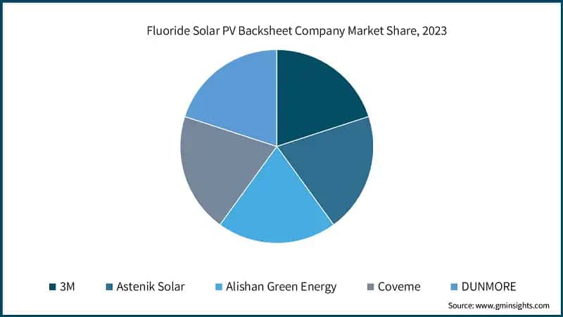 Fluoride Solar PV Backsheet Company Market Share, 2023