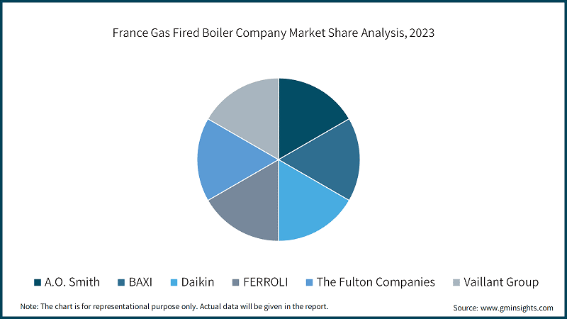 France Gas Fired Boiler Company Market Share Analysis, 2023