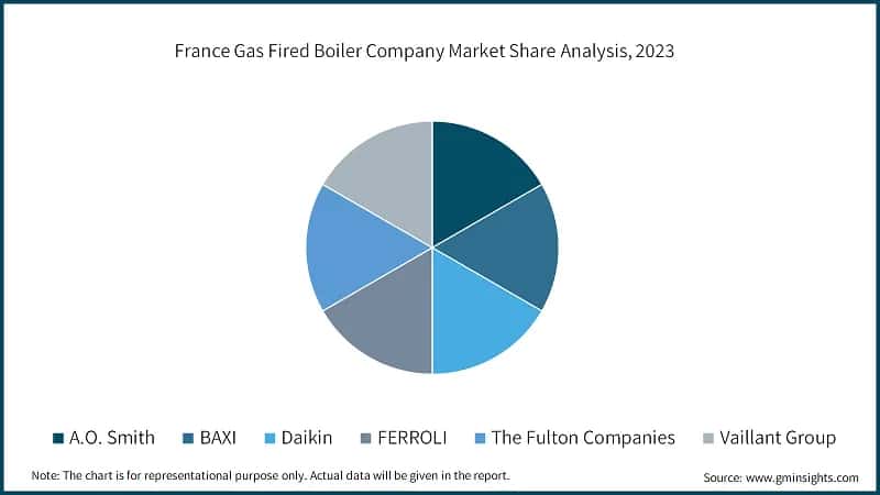 France Gas Fired Boiler Company Market Share Analysis, 2023