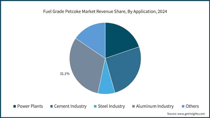 Fuel Grade Petcoke Market Revenue Share, By Application, 2024