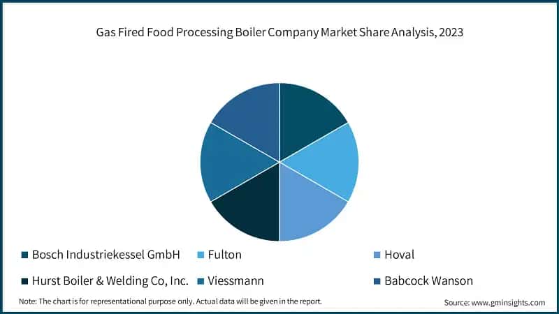 Gas Fired Food Processing Boiler Company Market Share Analysis, 2023