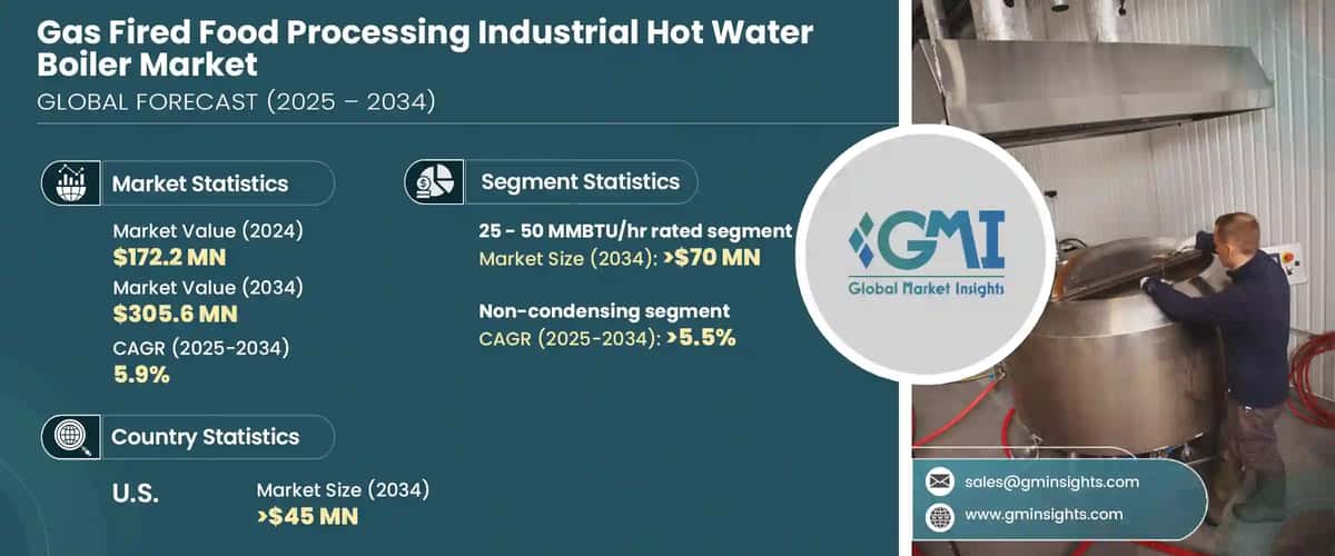Gas Fired Food Processing Industrial Hot Water Boiler Market