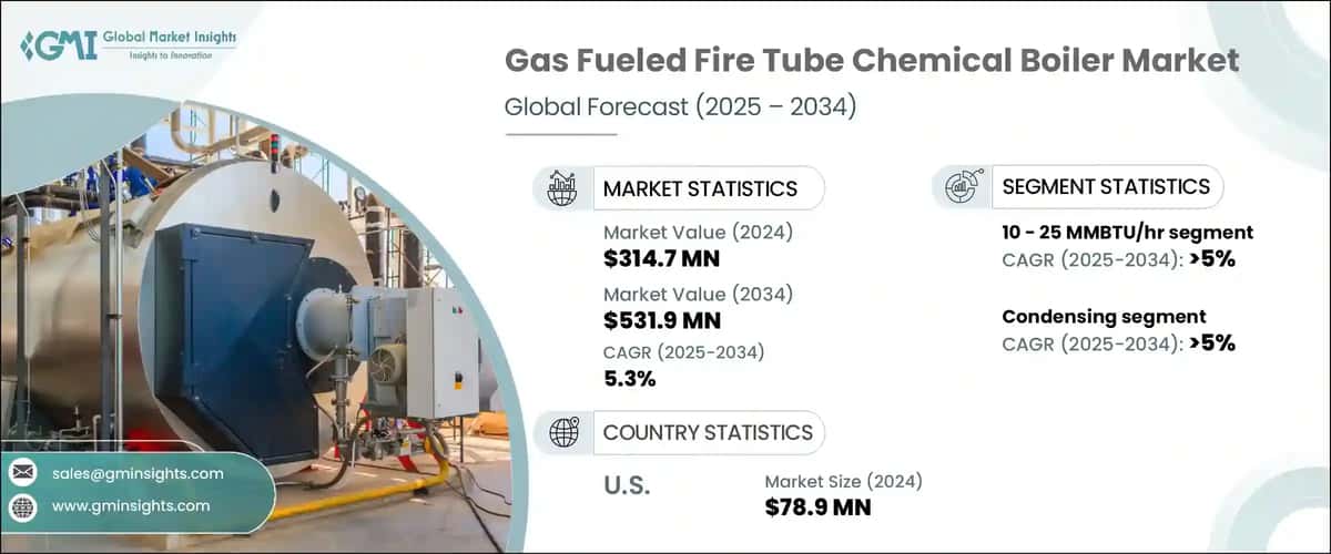 Gas Fueled Fire Tube Chemical Boiler Market