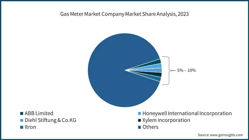 Gas Meter Market Company Market Share Analysis, 2023