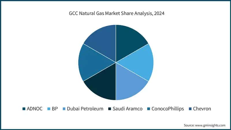 GCC Natural Gas Market Share Analysis, 2024