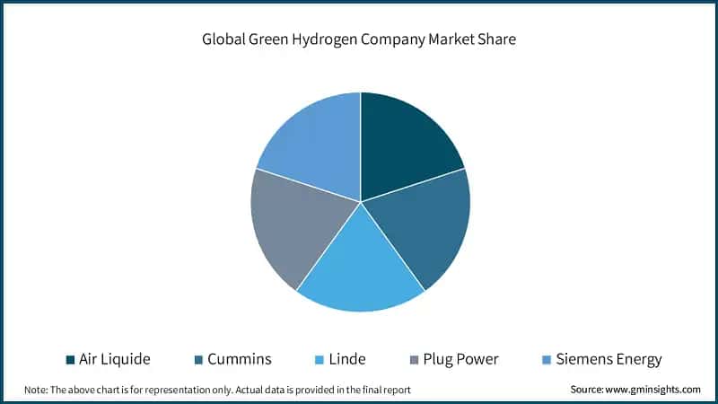 Global Green Hydrogen Company Market Share