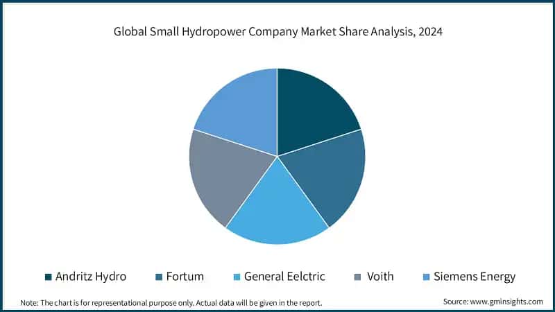 Global Small Hydropower Company Market Share Analysis, 2024