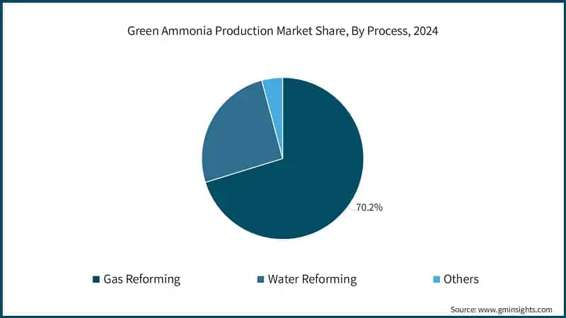 Green Ammonia Production Market Share, By Process, 2024