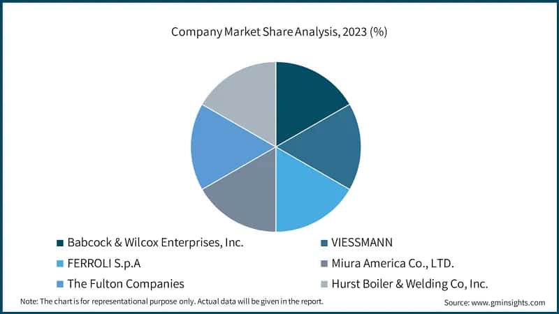 Company Market Share Analysis, 2023 (%)