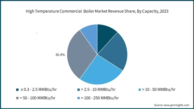High Temperature Commercial&nbsp; Boiler Market Revenue Share, By Capacity, 2023