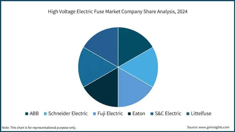 High Voltage Electric Fuse Market Company Share Analysis, 2024