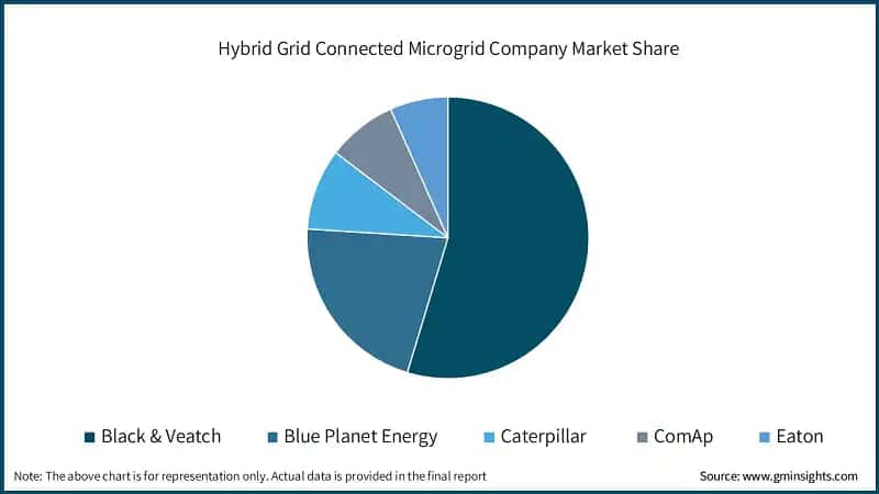 Hybrid Grid Connected Microgrid Company Market Share