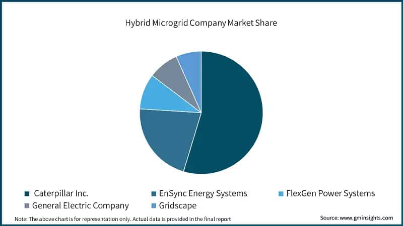 Hybrid Microgrid Company Market Share