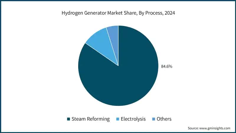 Hydrogen Generator Market Share, By Process, 2024