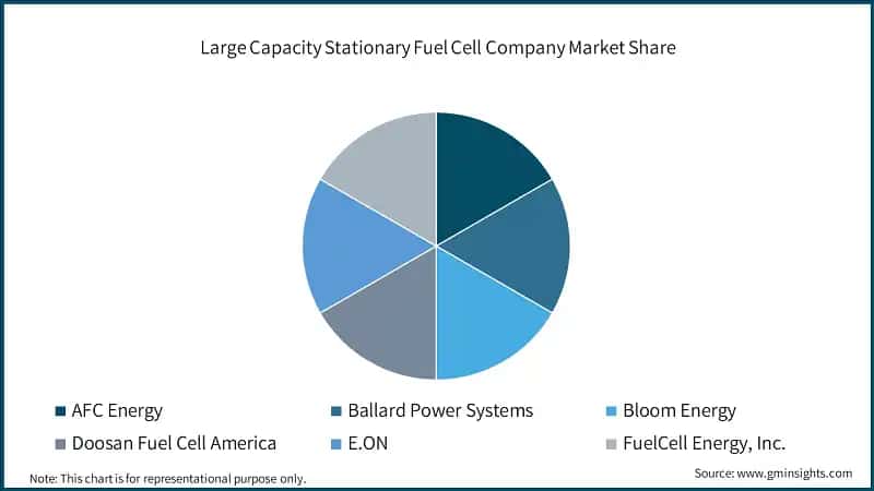 Large Capacity Stationary Fuel Cell Company Market Share