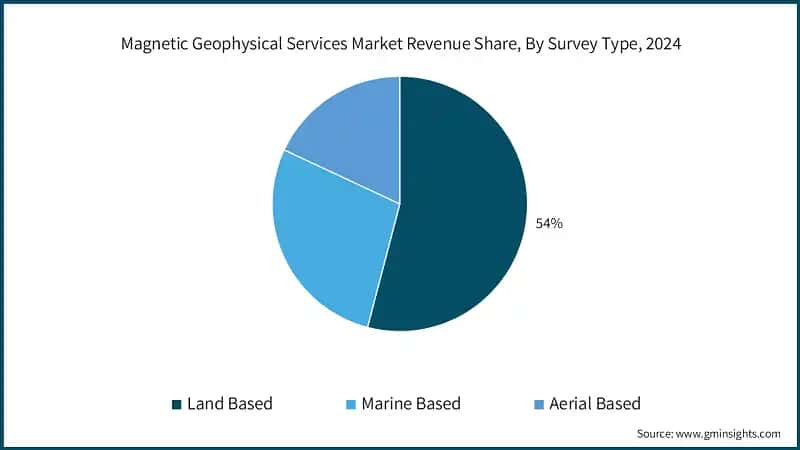 Magnetic Geophysical Services Market&nbsp;Revenue Share, By Survey Type, 2024