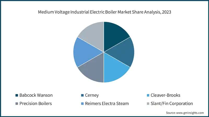 Medium Voltage Industrial Electric Boiler Market Share Analysis, 2023