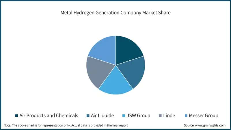  Metal Hydrogen Generation Company Market Share