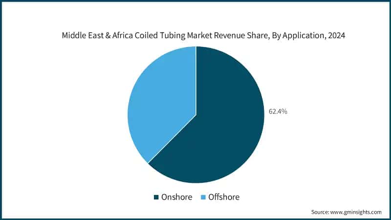 Middle East & Africa Coiled Tubing Market Revenue Share, By Application, 2024