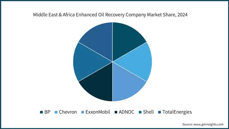 Middle East & Africa Enhanced Oil Recovery Company Market Share, 2024