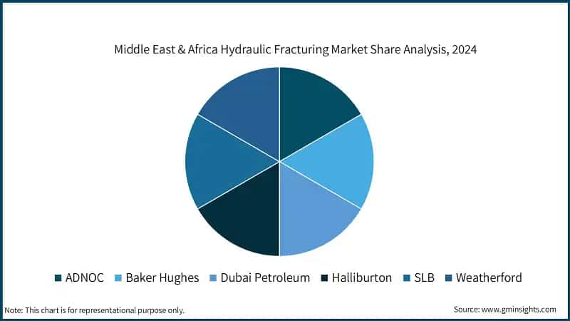 Middle East & Africa Hydraulic Fracturing Market Share Analysis, 2024