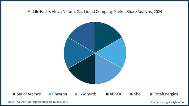 Middle East & Africa Natural Gas Liquid Company Market Share Analysis, 2024