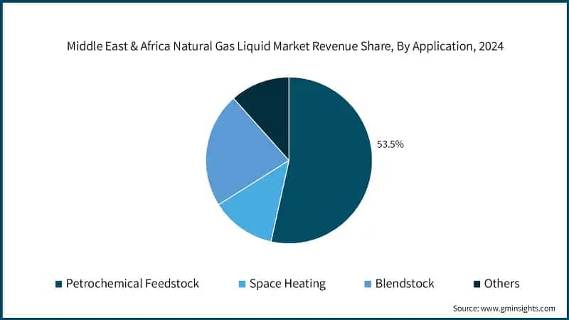 Middle East & Africa Natural Gas Liquid Market Revenue Share, By Application, 2024