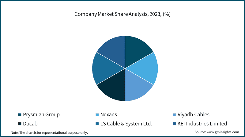 Company Market Share Analysis, 2023, (%)