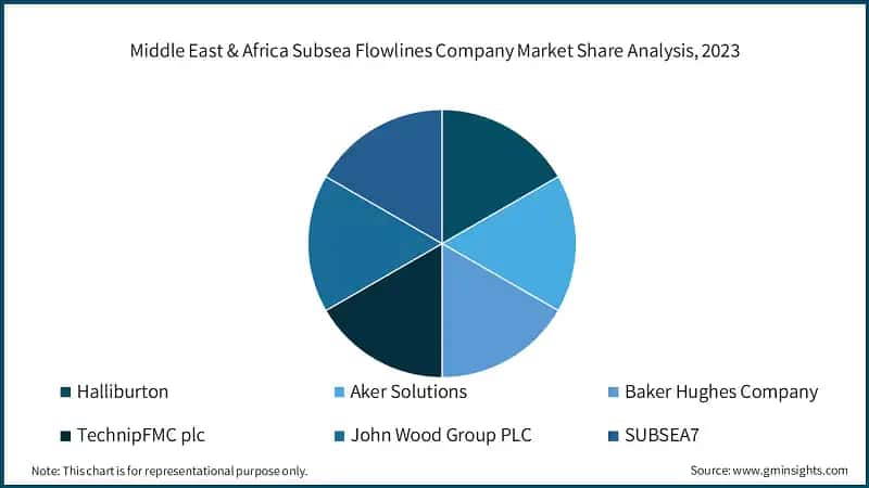 Middle East & Africa Subsea Flowlines Company Market Share Analysis, 2023