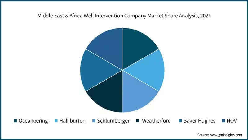 Middle East & Africa Well Intervention Company Market Share Analysis, 2024