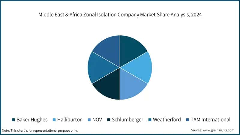Middle East & Africa Zonal Isolation Company Market Share Analysis, 2024