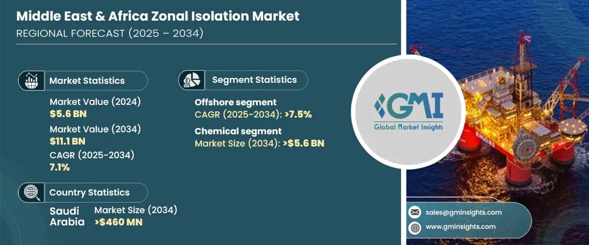 Middle East & Africa Zonal Isolation Market