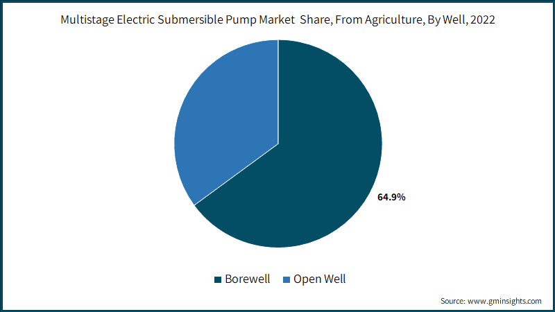 Multistage Electric Submersible Pump Market  Share, From Agriculture, By Well, 2022