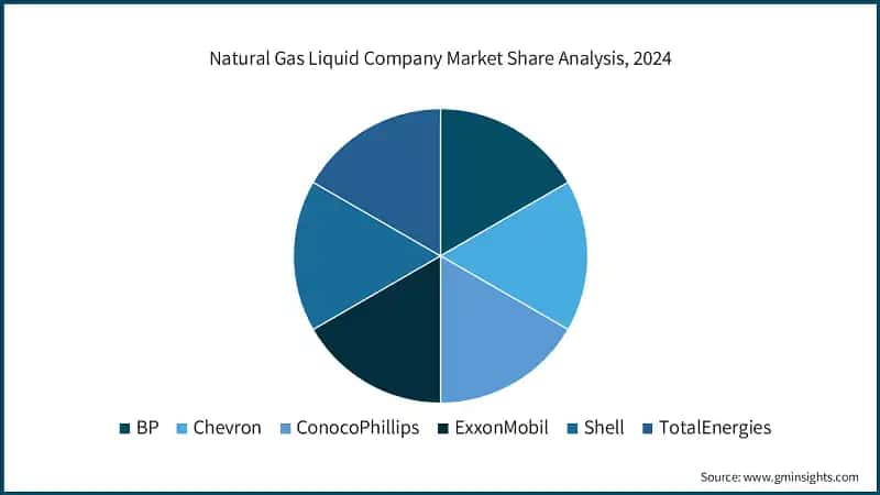 Natural Gas Liquid Company Market Share Analysis, 2024