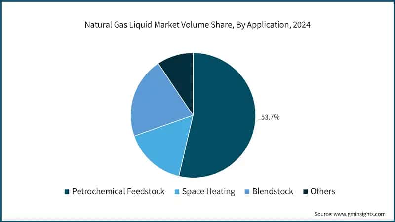 Natural Gas Liquid Market Volume Share, By Application, 2024