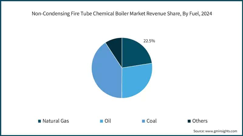 Non-Condensing Fire Tube Chemical Boiler Market Revenue Share, By Fuel, 2024