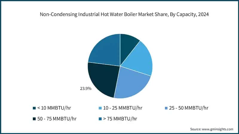 Non-Condensing Industrial Hot Water Boiler Market Share, By Capacity, 2024