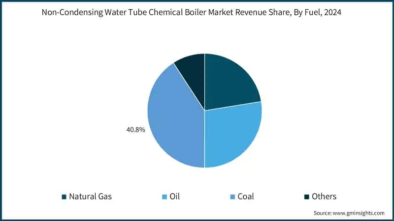 Non-Condensing Water Tube Chemical Boiler Market Revenue Share, By Fuel, 2024