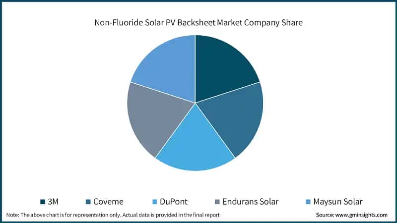 Non-Fluoride Solar PV Backsheet Market Company Share