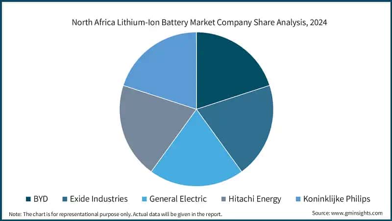 North Africa Lithium-Ion Battery Market Company Share Analysis, 2024