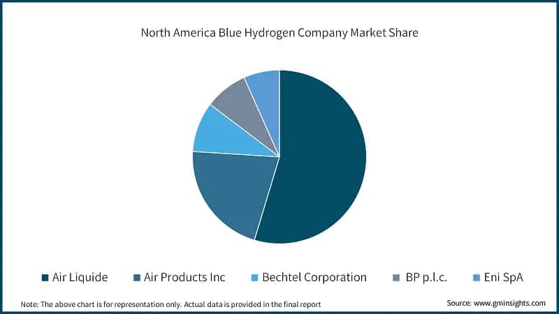 North America Blue Hydrogen Company Market Share