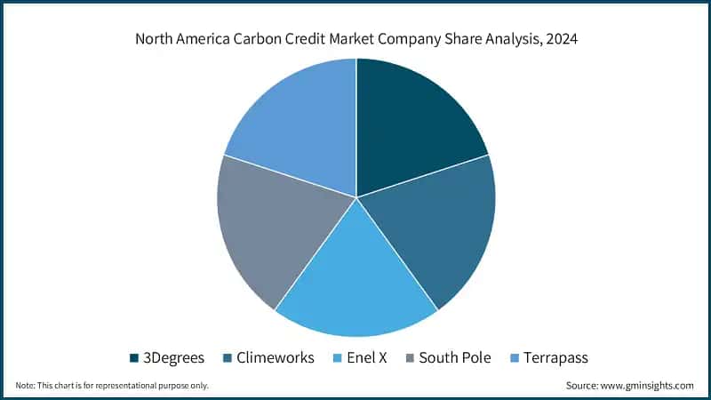 North America Carbon Credit Market Company Share Analysis, 2024