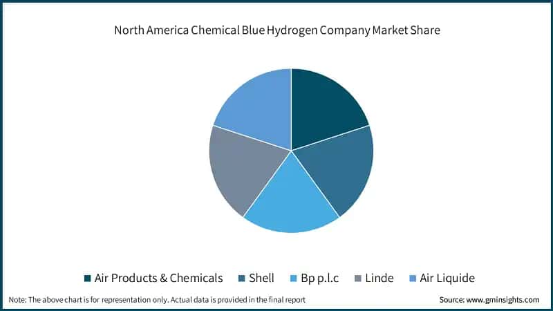 North America Chemical Blue Hydrogen Company Market Share