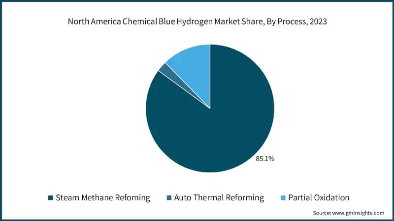 North America Chemical Blue Hydrogen Market Share, By Process, 2023