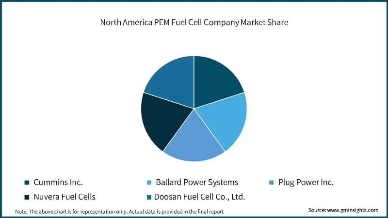North America PEM Fuel Cell Company Market Share
