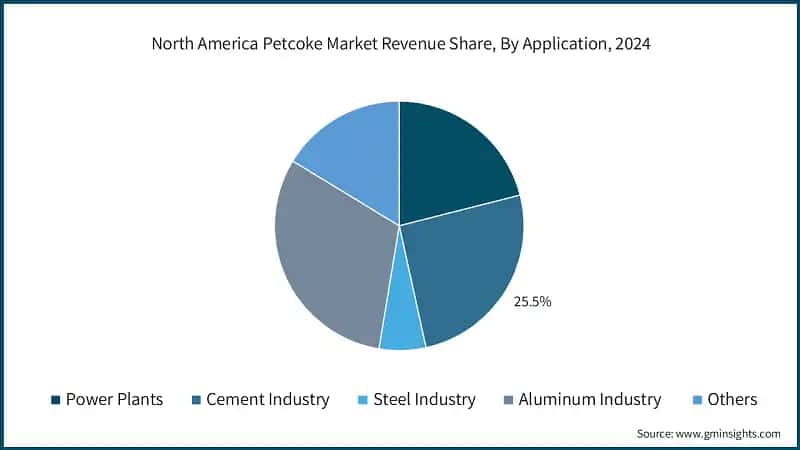 North America Petcoke Market Revenue Share, By Application, 2024