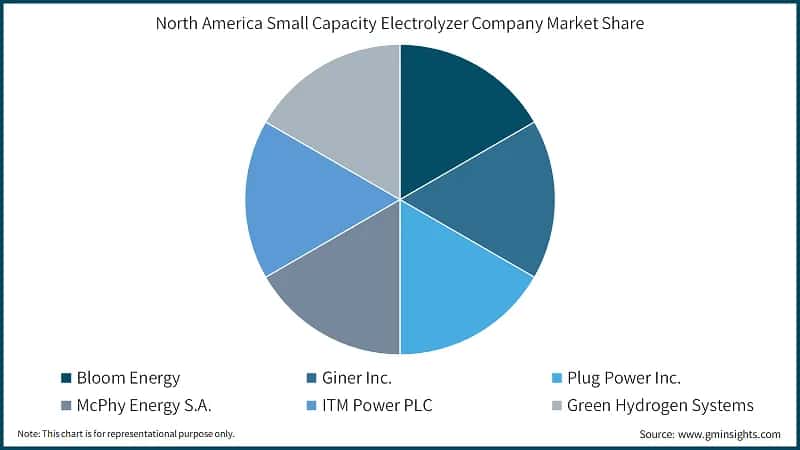 North America Small Capacity Electrolyzer Market Company Market Share