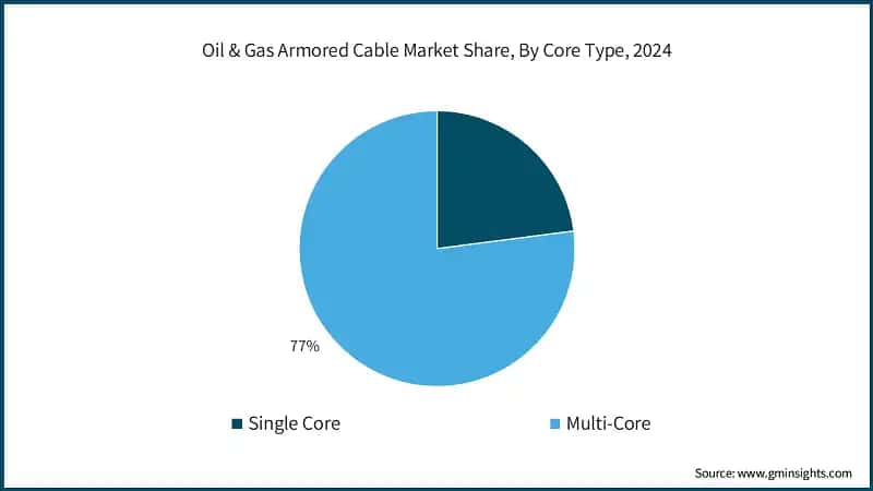 Oil & Gas Armored Cable Market Share, By Core Type, 2024