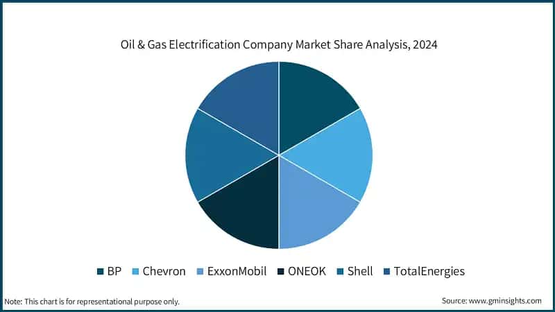 Oil & Gas Electrification Company Market Share Analysis, 2024