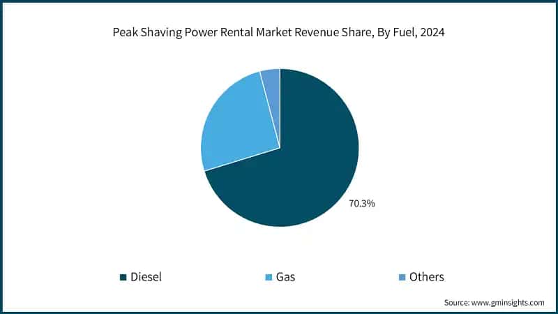 Peak Shaving Power Rental Market Revenue Share, By Fuel, 2024